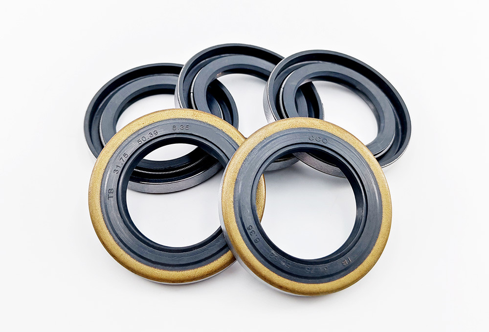 Metal Dust Lip Skeleton Oil Seal Rubber NBR FKM Oil Seals Rotary Shaft Oil Sealing
