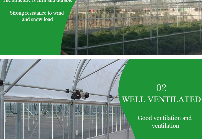 Film Covered Greenhouse Tower Garden/Aduaponics for Sustainable Farming Solutions
