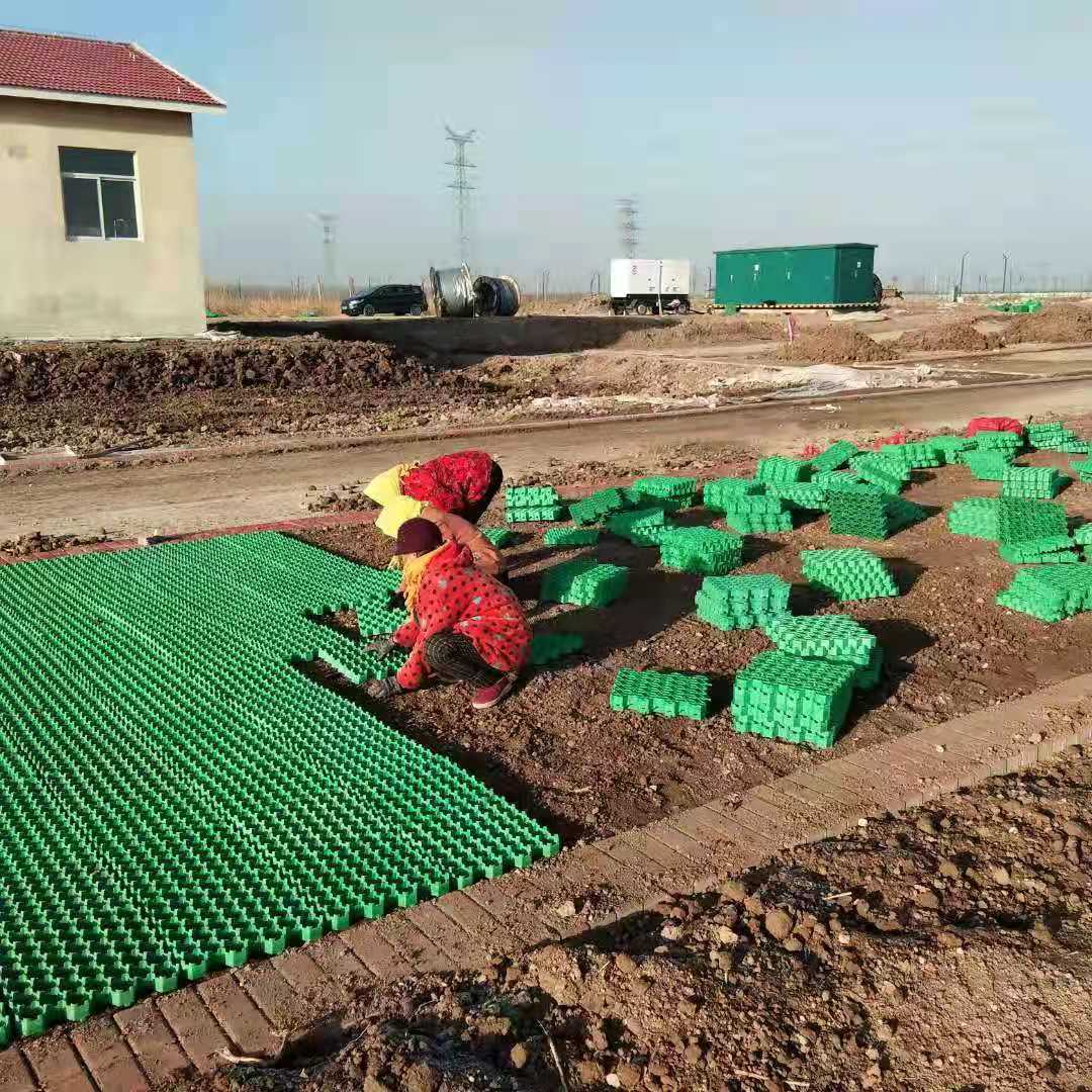 Tenglu Parking Lot and Driveway 500mm HDPE Grass Paving Grids in Plastic Material