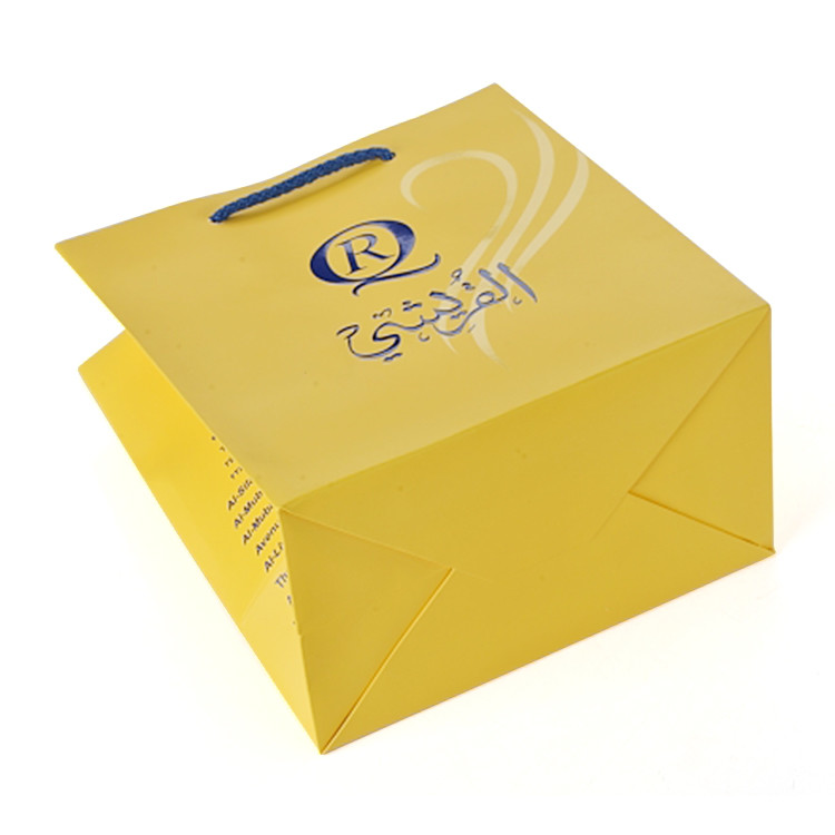 Garment Shopping Branded Paper Bags embossing Pantone Printing 190x120x210mm