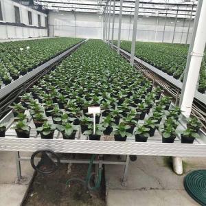 China ABS Plastic Greenhouse Accessories Greenhouse Rolling Bench PEP Film Covering on sale
