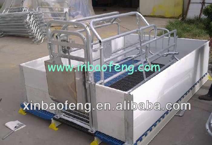 Anti Rust Pig Farrowing Crates For Animals Galvanized Pipe And PE Plate Materials