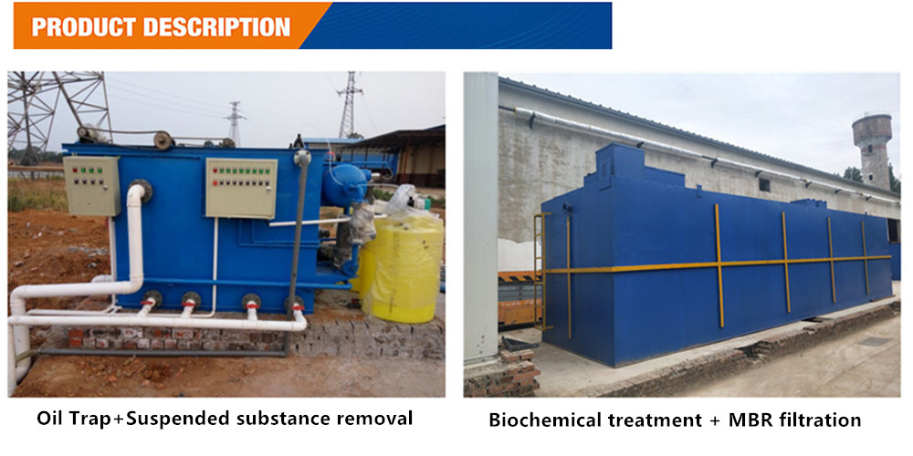 1200KG Halal Poultry Slaughter Plant for Advanced Cattle Sheep and Chicken Processing