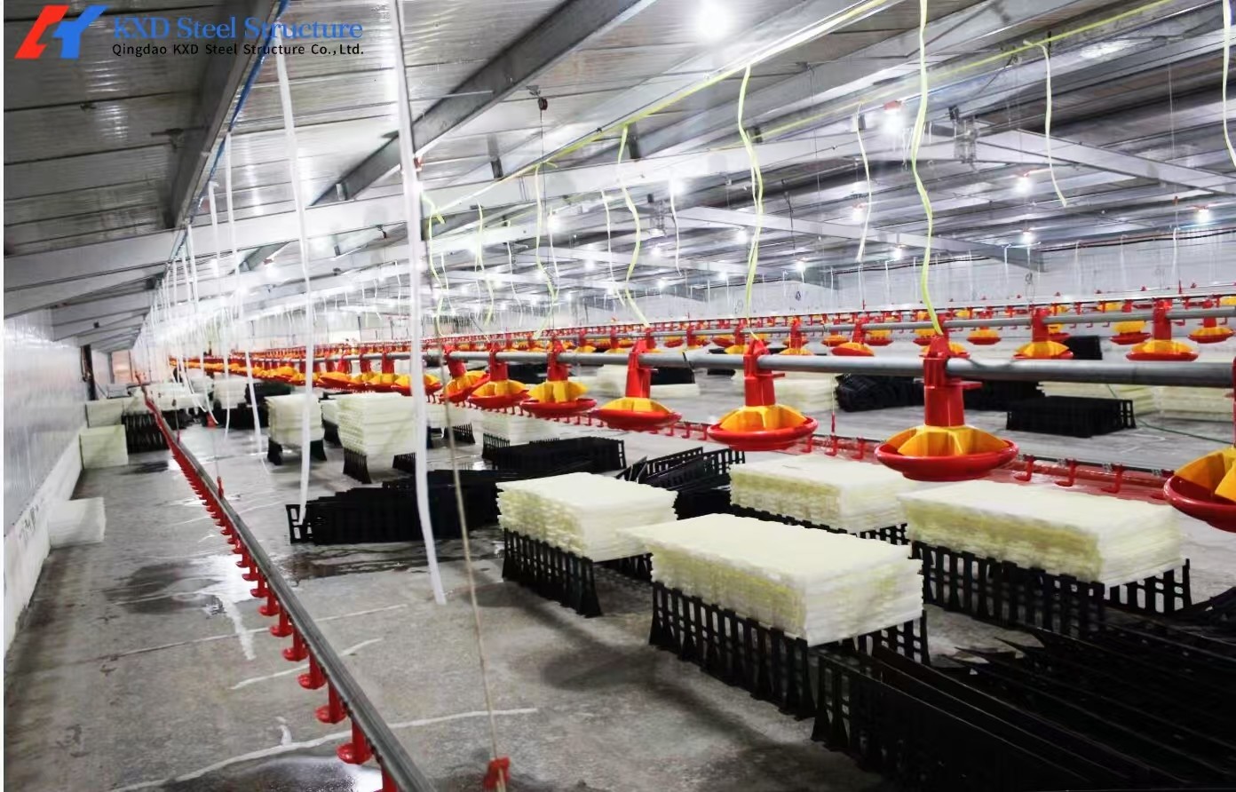 Automatic Broiler Poultry Farming Equipment Galvanized H Type Battery Chicken Cages