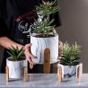 Buy cheap Table Pots Succulents Plant Pots Homewares Decorative Items Mini Cement Flower from wholesalers
