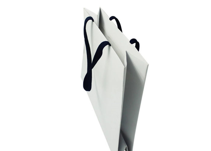 Personalized Logo Paper Shopping Bags High Durability With Rope Handles