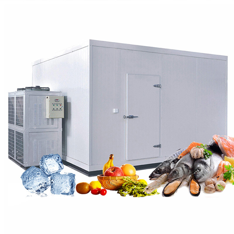 Walk In Cold Room Freezer