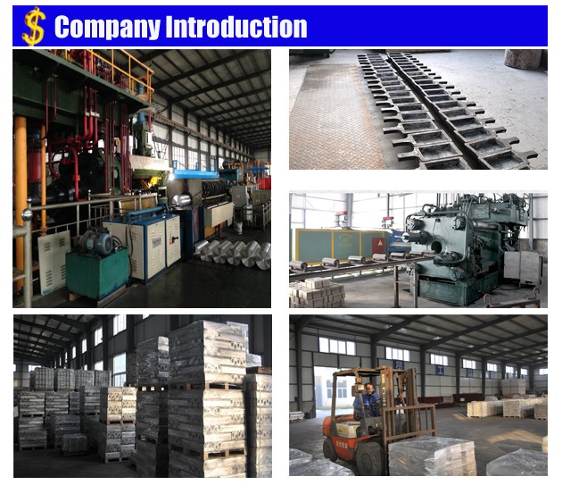 company-introduction.jpg