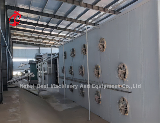 Battery Layer Chicken Cages Automatic Egg A / H Type Rose