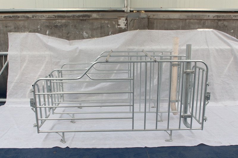 Corrosion Resistance Iron Pig Farrowing Crate Safe Feeding Place For Sow