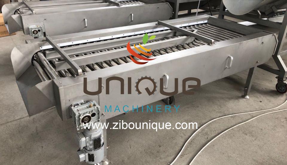 304 Stainless Steel Automatic Sweet Potato Yam Washing Machine Peeling Production Line