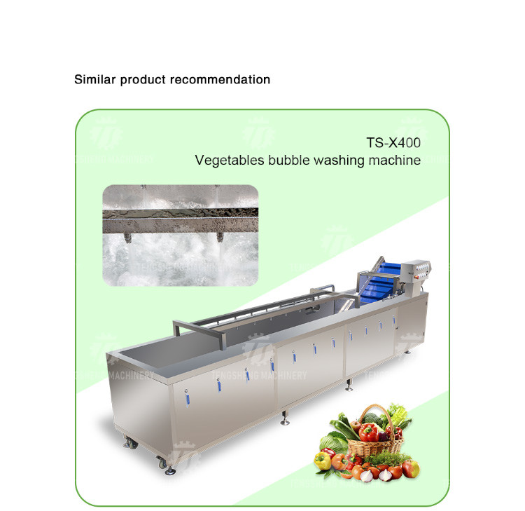 Tengsheng Fruit And Vegetable Washing Machine Pests Eliminating Saint Dragon Fruit