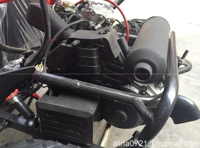 250cc Water-Cooled Chain Drive Go Kart With EEC / COC