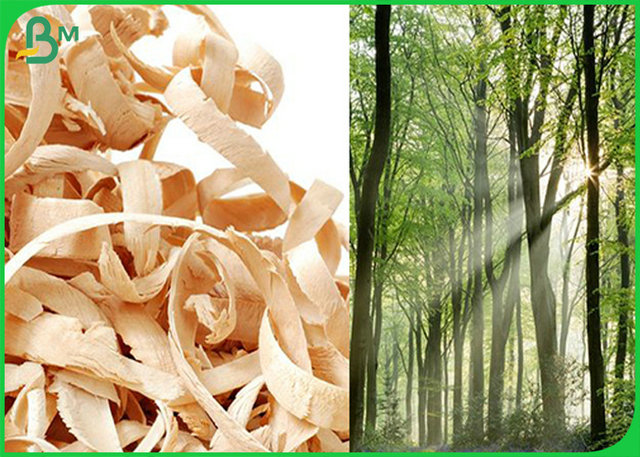 260GSM White Glossy RC Photo Paper Roll For All Inkjet Printers
