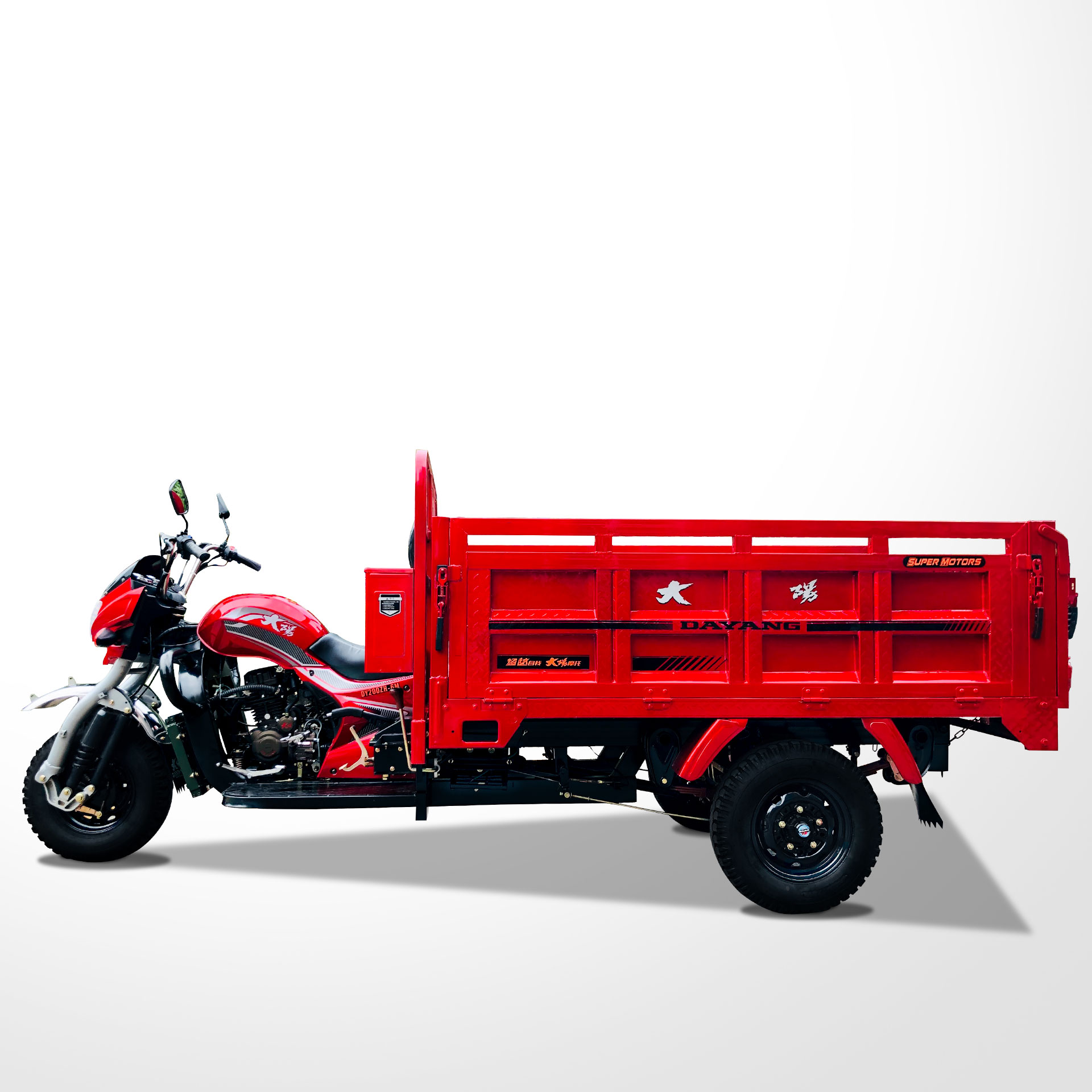 DAYANG Cargo Tricycle with Rear Axle Floating Booster King Three Wheels Motorcycle