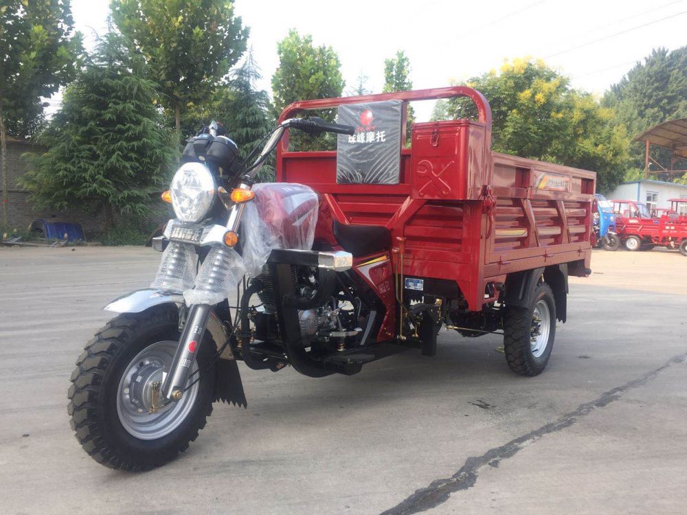Hydraulic Self Lifting Fuel 3 Wheel 200CC Cargo Tricycle