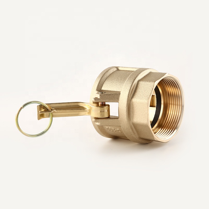 Quick Coupling Series Brass Type D Sand Casting Female BSPP Camlock Fittings