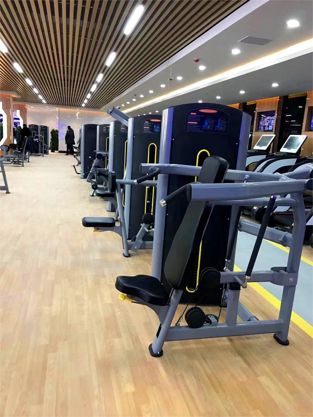 Commercial and Home Gym Fitness Equipment Steel Pin-Loaded Bicep Machine for Chest Back Shoulder Leg Training