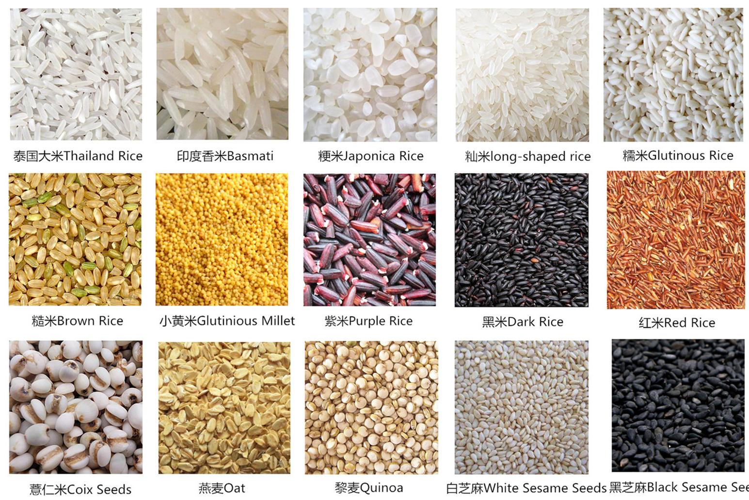 Seven Channel CCD Color Sorter With Advanced LED Lighting Technology