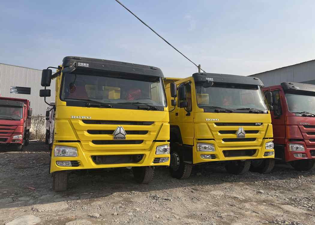 SINOTRUK Automatic Transmission Diesel Engine HOWO TRUCKS Dumpster Truck for Big Projects