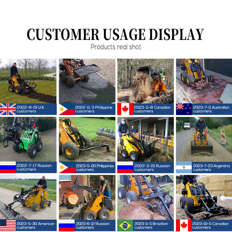 200kg Rated Loading Mini Skidsteer Loader with Free Shipping and EPA CE Certification