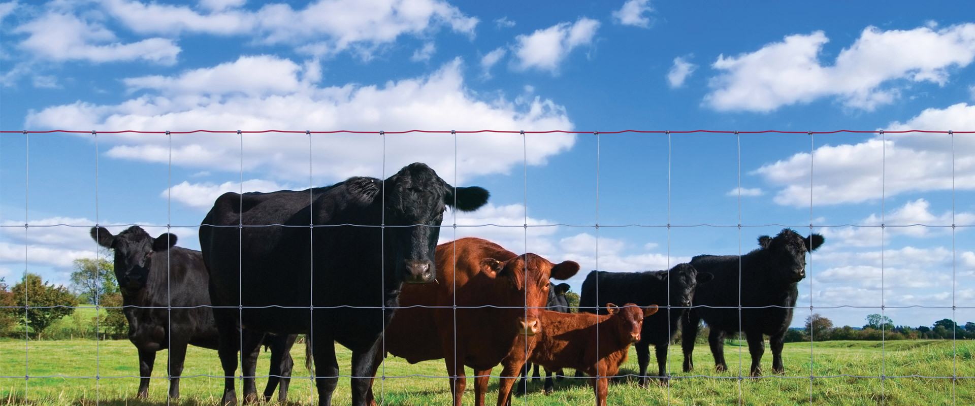 Waterproof 2mm Diameter Wire Cattle Metal Fence Panels With Sqaure Hole