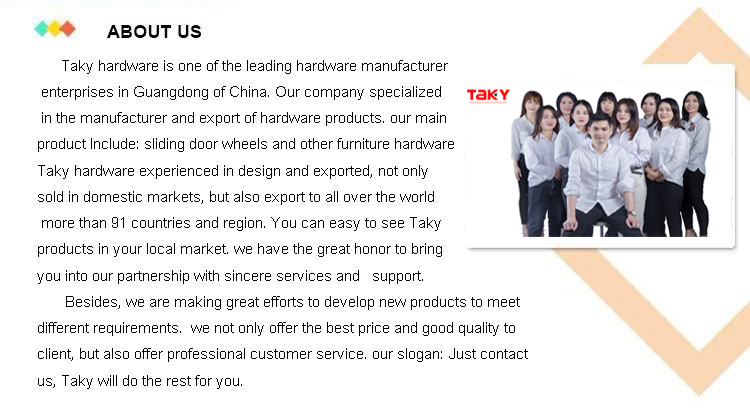 Zinc Plating Iron Nylon Wardrobe Sliding Fitting System for Customer Requirements