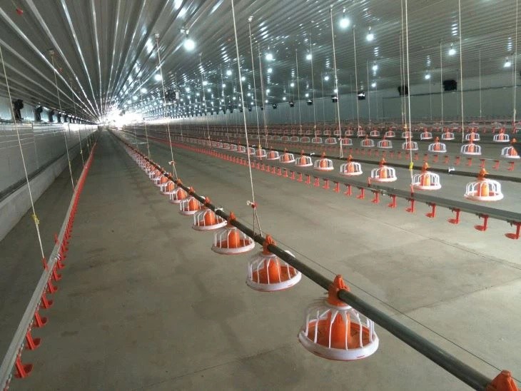 Anti Corrosive Galvanized Full Antomatic Poultry Farm Shed Bird House Prefabricated