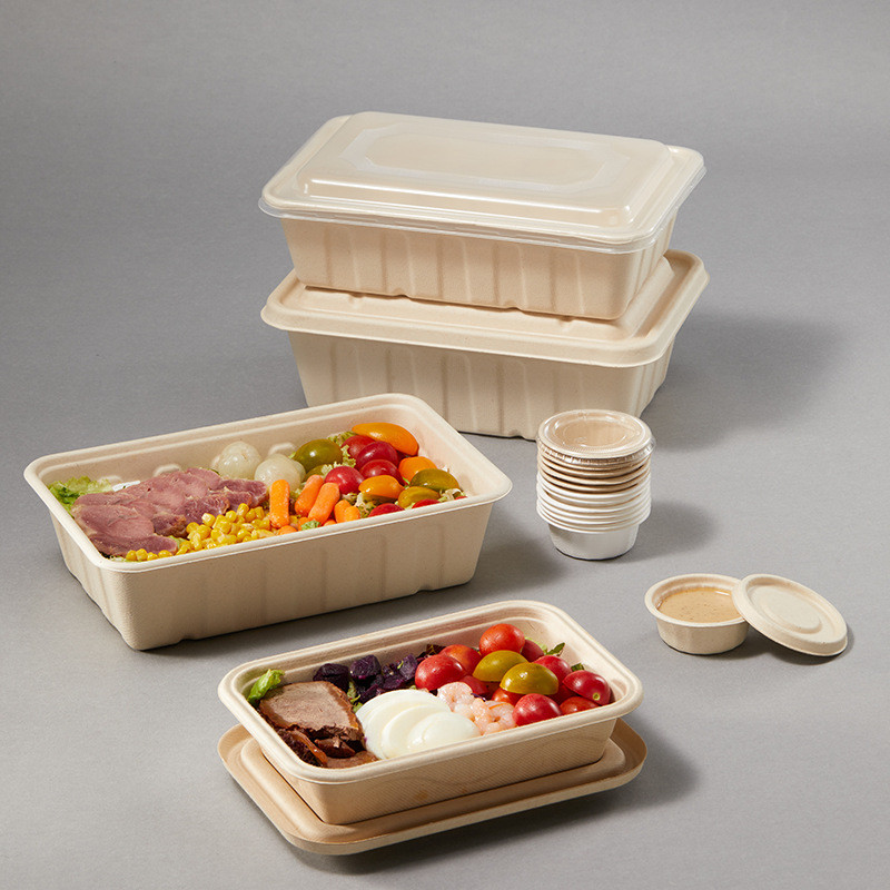 100% Biodegradable Disposable Wheat Straw Lunch Box Compostable