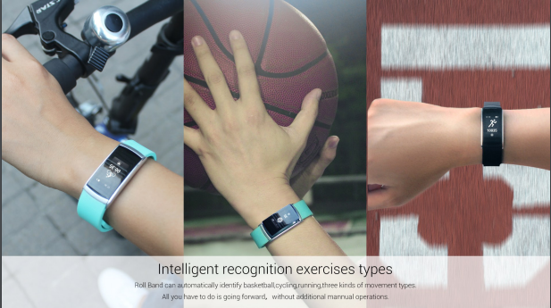 OEM Pedometer Blood Pressure Bracelet