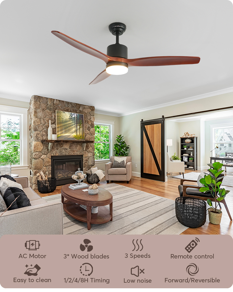 ceiling fan