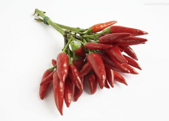 Chilli Ring Chaotian Hot Chili 40000 SHU 25kg/ctn Neihuang Xinglong Agricultural Co. Lt