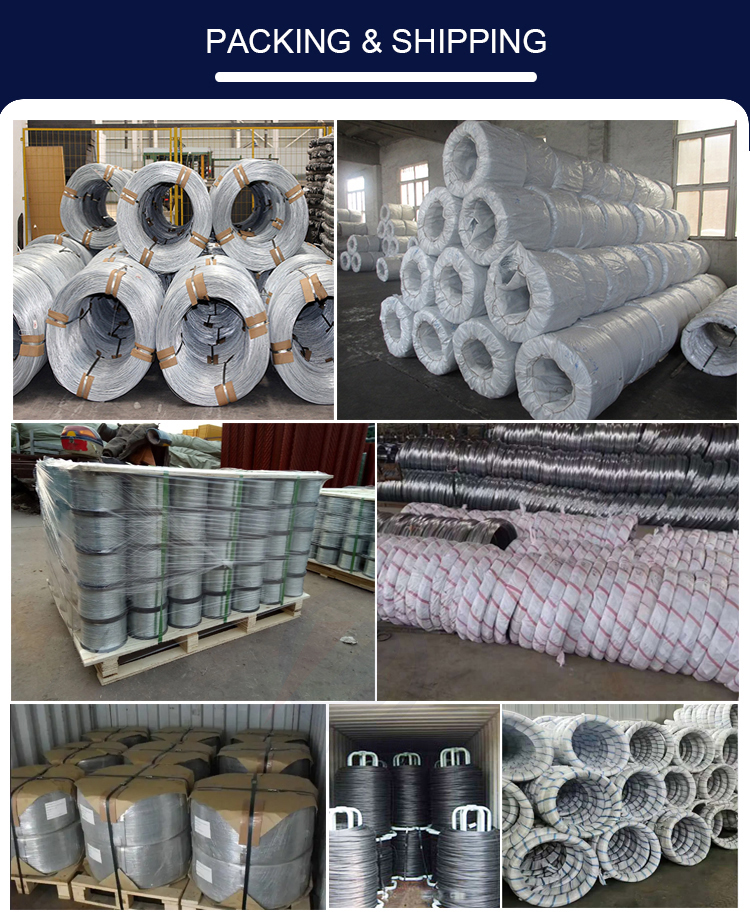 Technique Hot Rolled Based Galvanized Electric Fence Wire 1.6mm Q195 Q235 Galvanized Steel Wire for Fencing