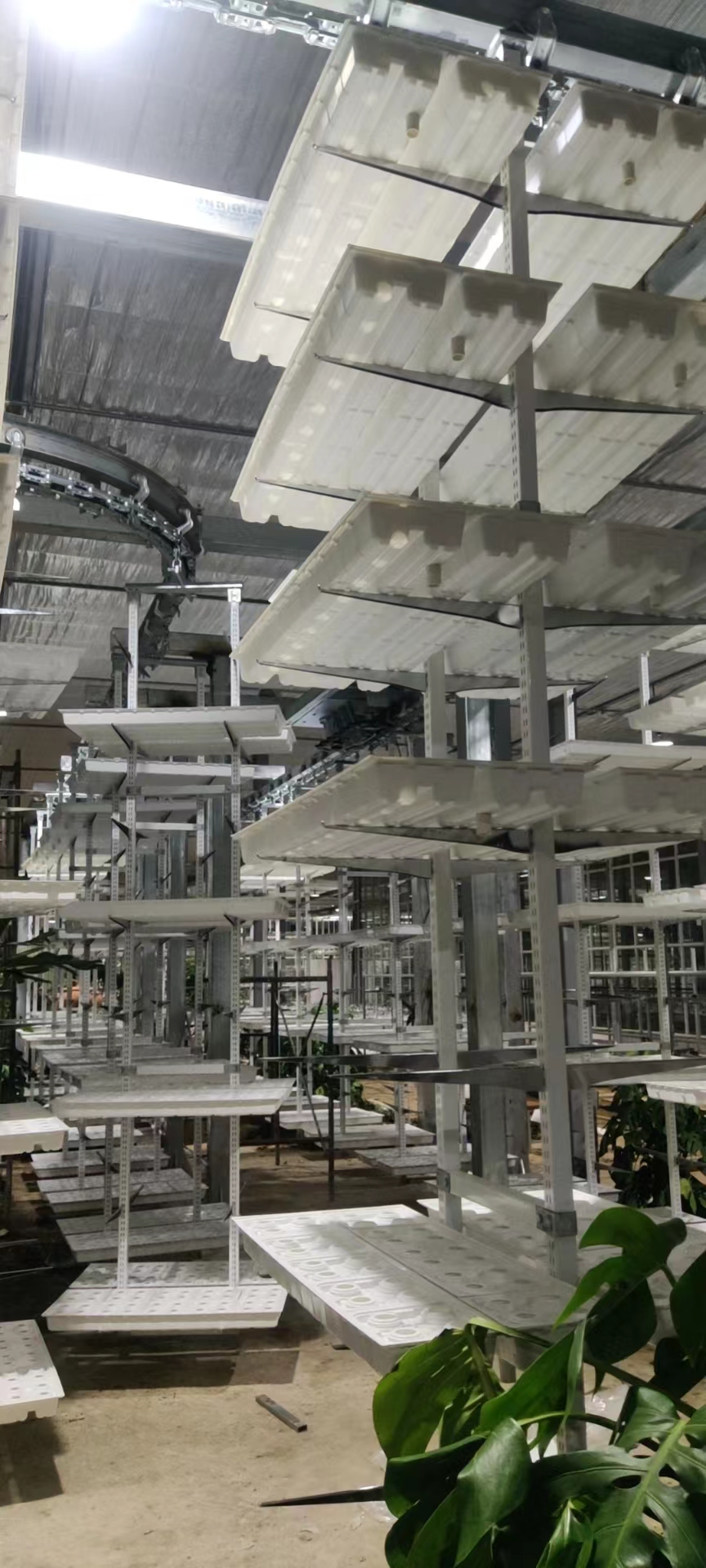 Vertical Farming Hanging Plant Hydroponic Intelligence Farming