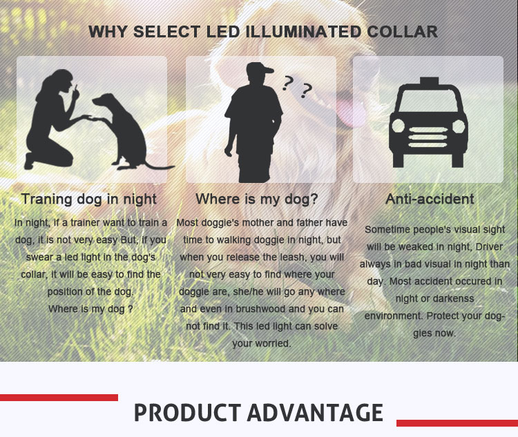 Flashing Light Up LED Dog Collar / OEM Illuminated Dog Collar Leash