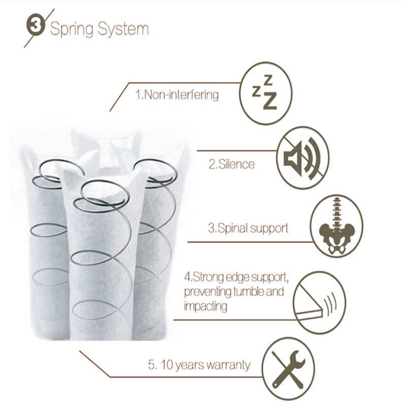 Anti Odorization Sponge Bed Mattress