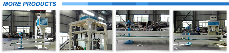 DCS-50WF Powder 25kg Bagging Machine For Maize Flour