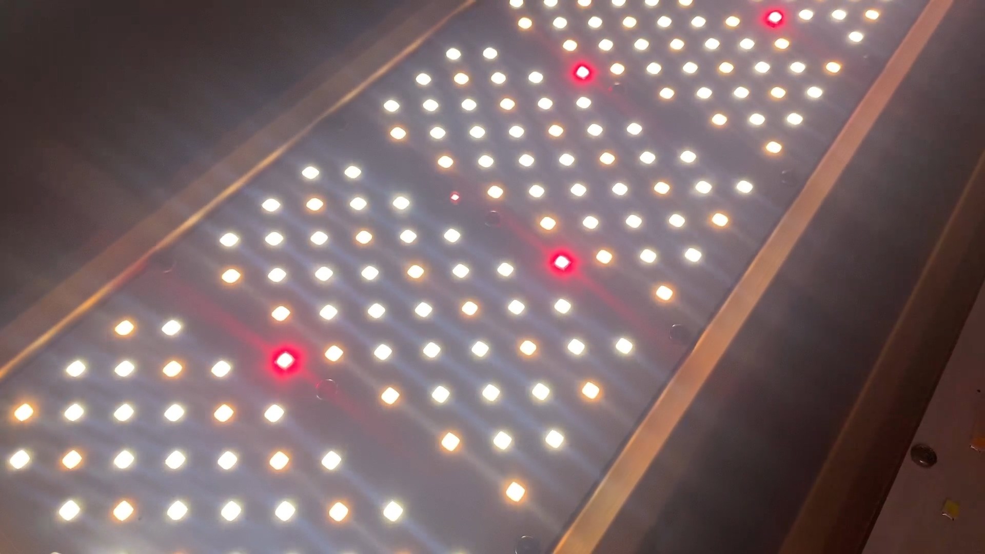 Growers Republic Greenhouse LED Grow Light Angle Adjustable 320 Watt LED