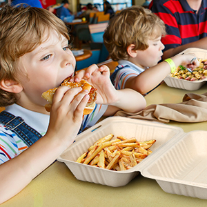 disposable to go containers