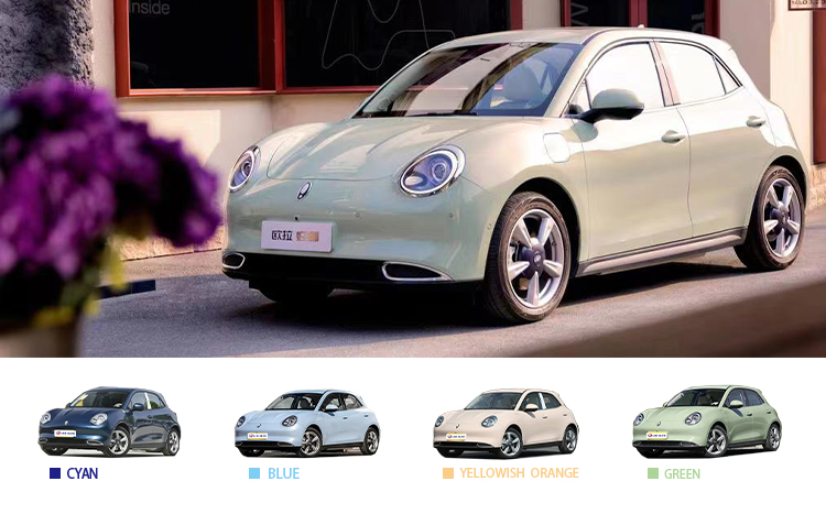 Electric Parking Brake 2024 Great Wall Ora Good Cat Car with Car Entertainment System