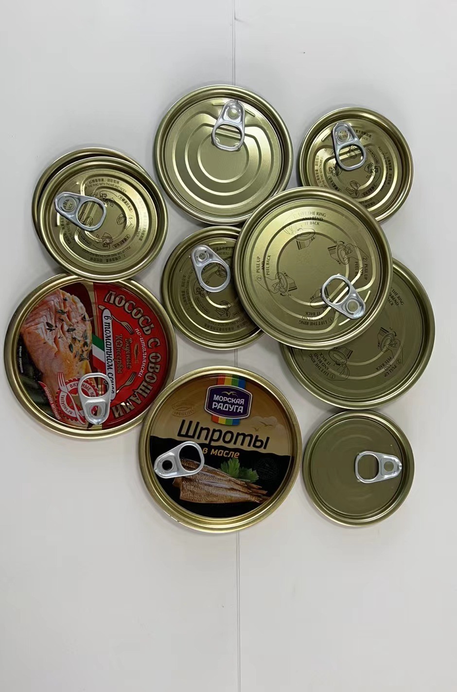 #401 Rust Resistance TFS Material 99mm Diameter Golden Easy Open EOE For Food Cans
