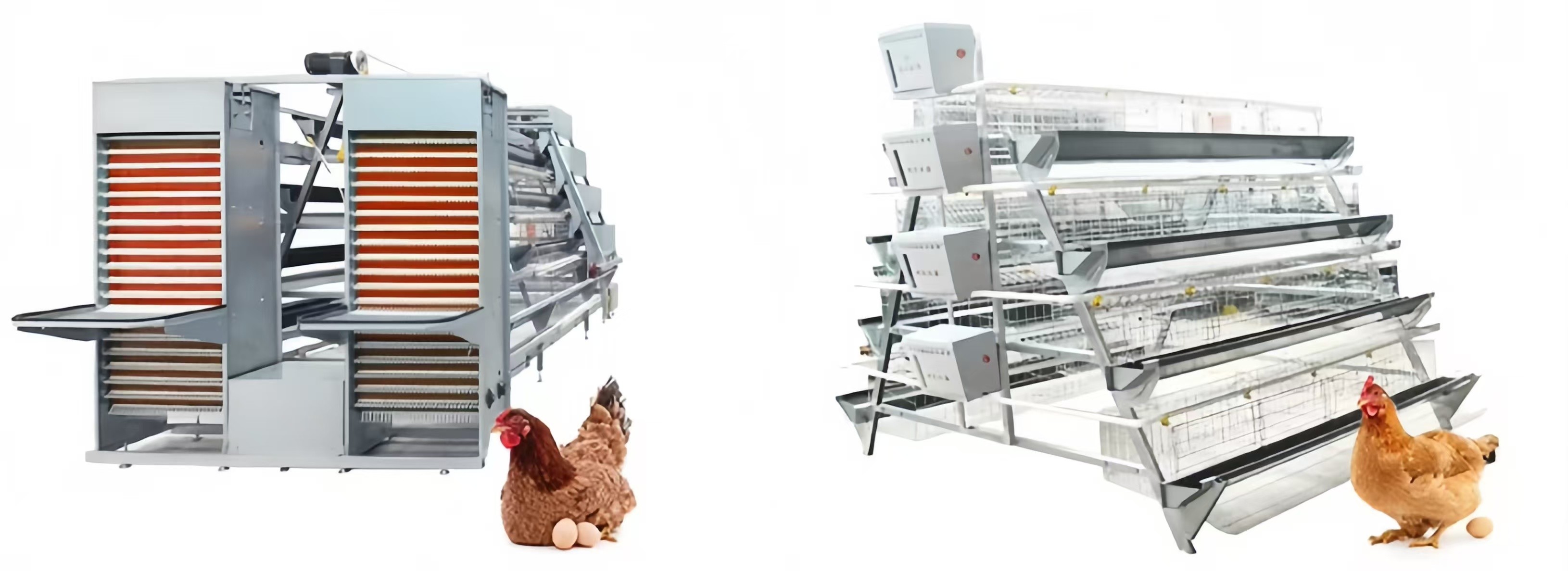KXD Prefab Steel Frame Metal Building Q345 Q235 Steel Poultry Shed