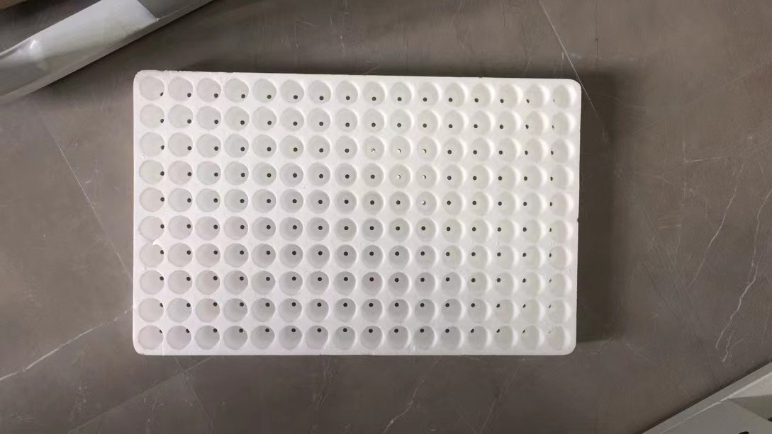 50/120/160/200 Hole Floating Seedling Tray for Soilless Cultivation Of Vegetables