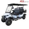 Buy cheap 6 Passengers Lithium Battery Electric Motor Golf Cart Long Travelling Range 80KM from wholesalers
