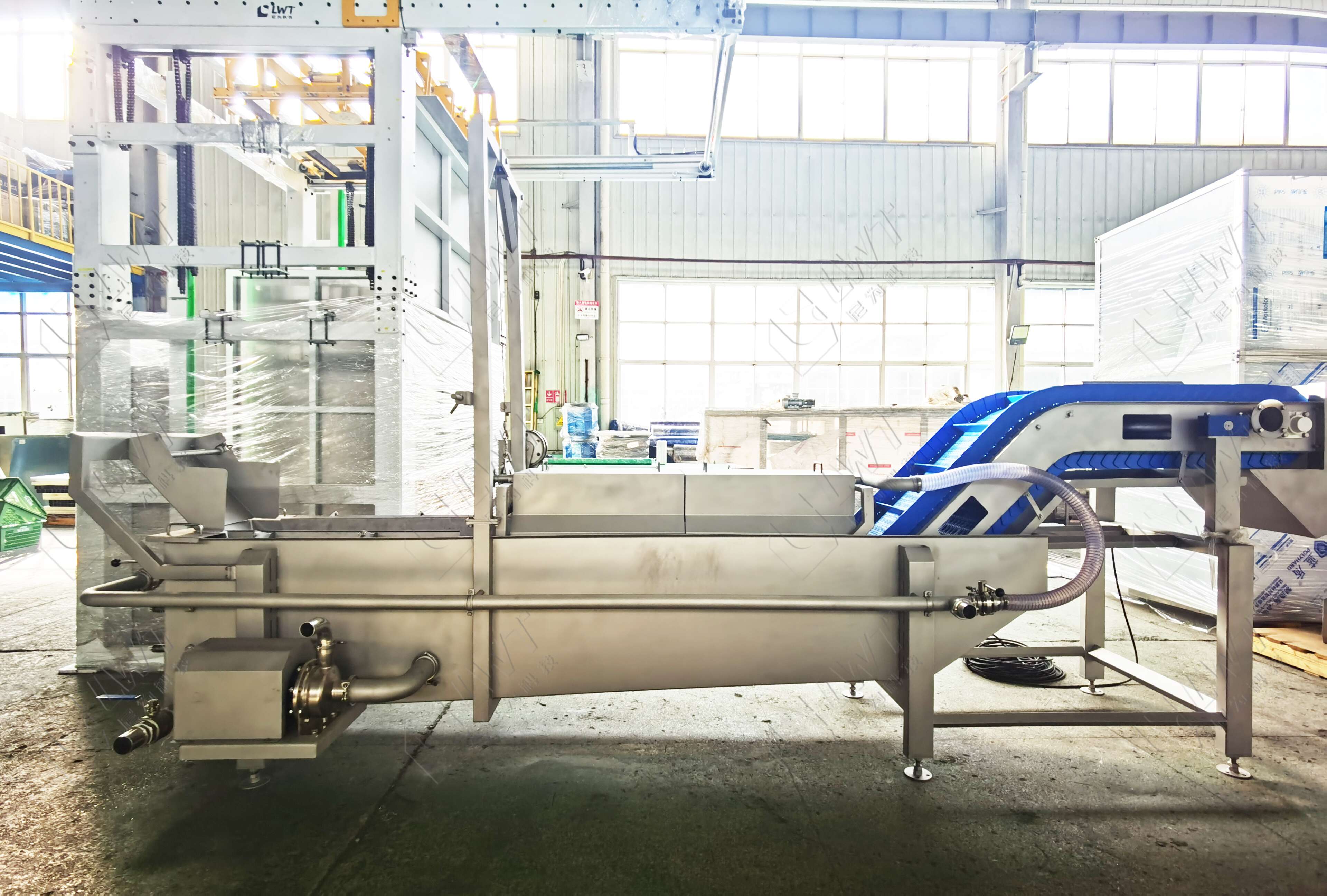 380V Vegetable Washing Line Green Pepper Chili Cleaning Machine