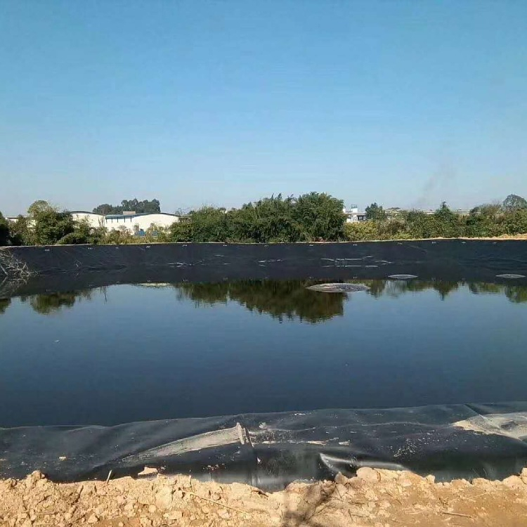 HDPE Black Fish Farm Pond Liner Plastic Geomembrane for Fish Pond Industrial Design Style