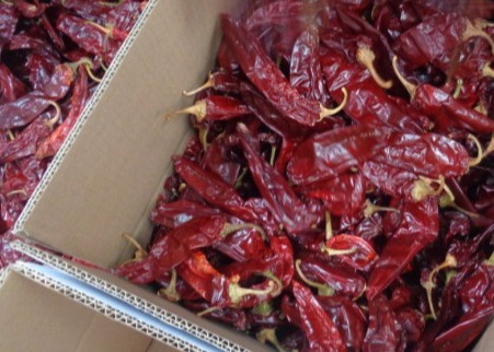 Single Herb And Spice On Dried Paprika Peppers For Your Business Needs