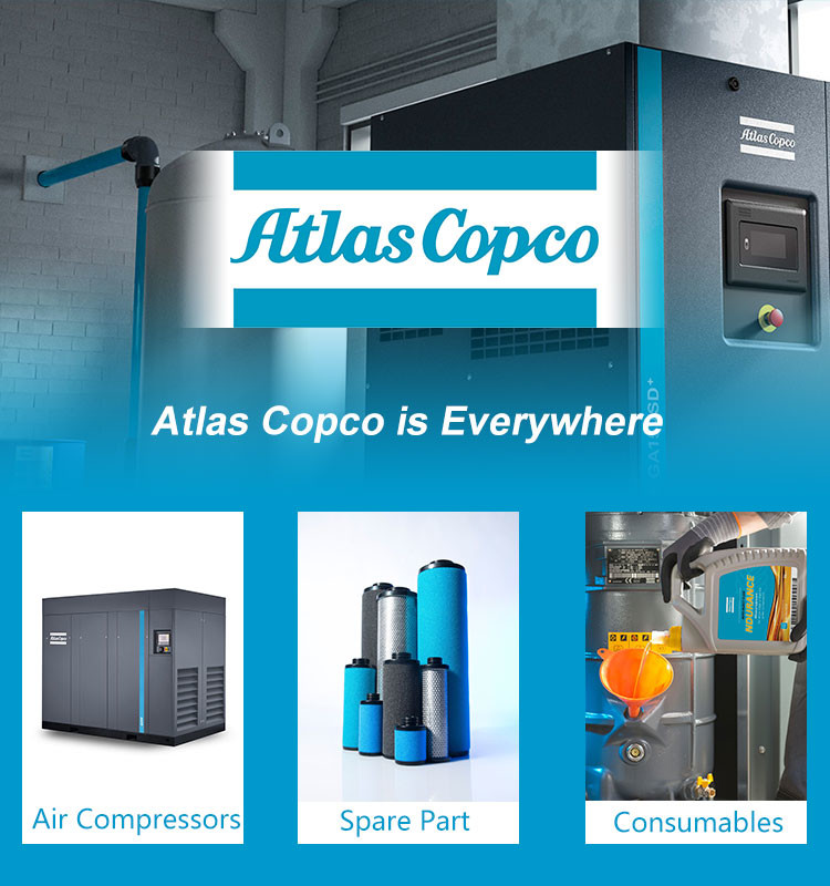 Atsl-165e Atsl1651e Oil Free Atlas Screw Air Compressor Spare Parts Head Air End 2236050200 2236050100