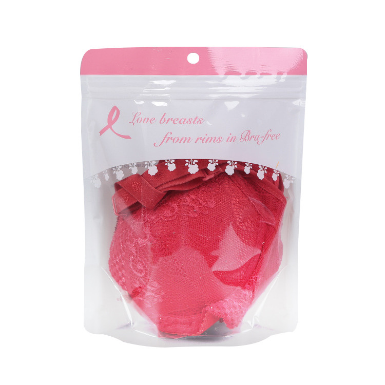 Zip lock underwear reclosable packaging custom printing garment plastic bags for clothing