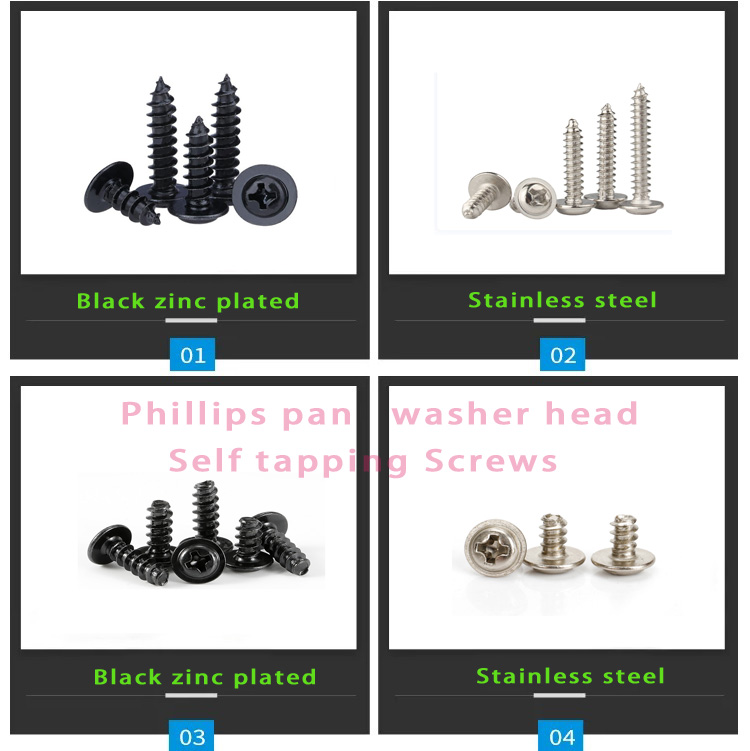 M2.5 Stainless Steel 304 Pan Head Self-Tapping Screw Din7981 for Sheet Metal- 6 8 10 12 Sizes